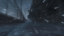 Dark rainy road with truck and petals